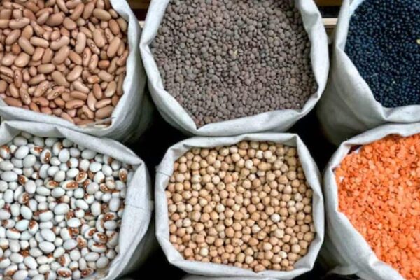 Government का लक्ष्य 2030-31 तक घरेलू दालों का उत्पादन 350 लाख टन बढ़ाना