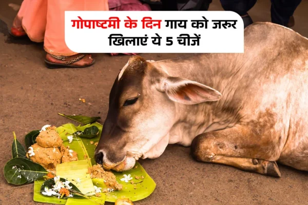 Gopashtami: गाय को खिलाएं ये 5 चीजें, खुशहाली का आएगा संचार