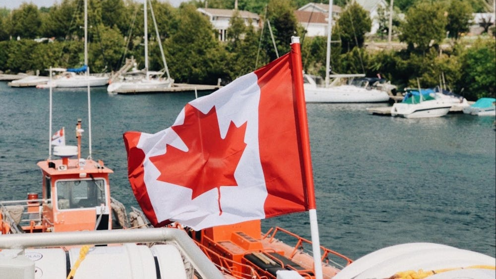 Need a Canadian work permit? Student-workers should not make this ‘mistake’ even by mistake, they may have to leave the country in between jobs.