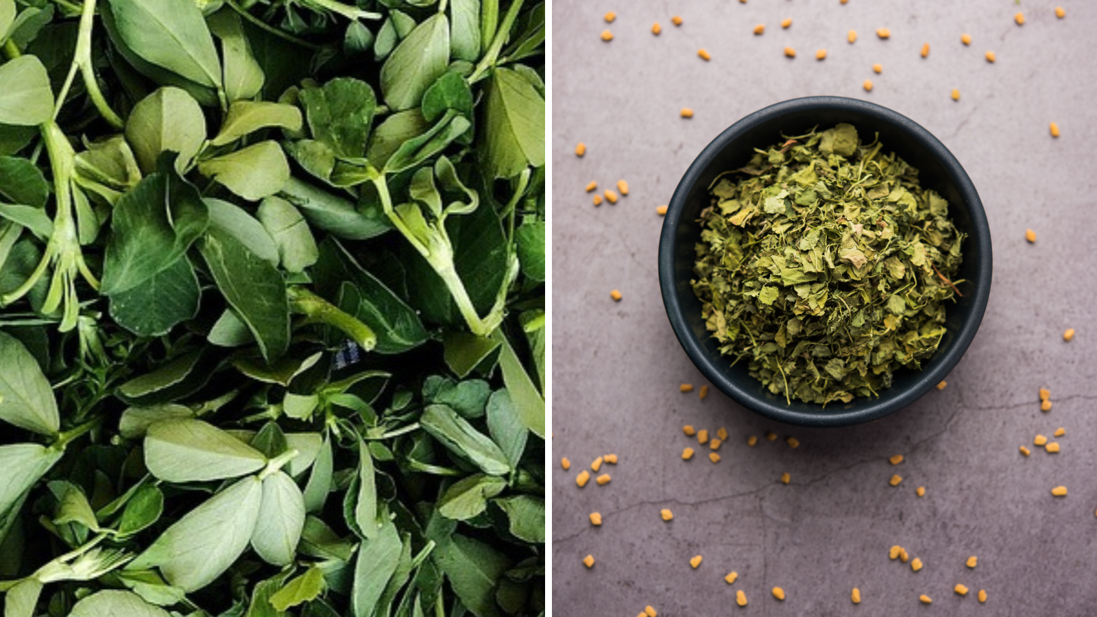 Can fenugreek be kept fresh for a long time? Chatori Chetna told the way to store, the fragrance will remain intact