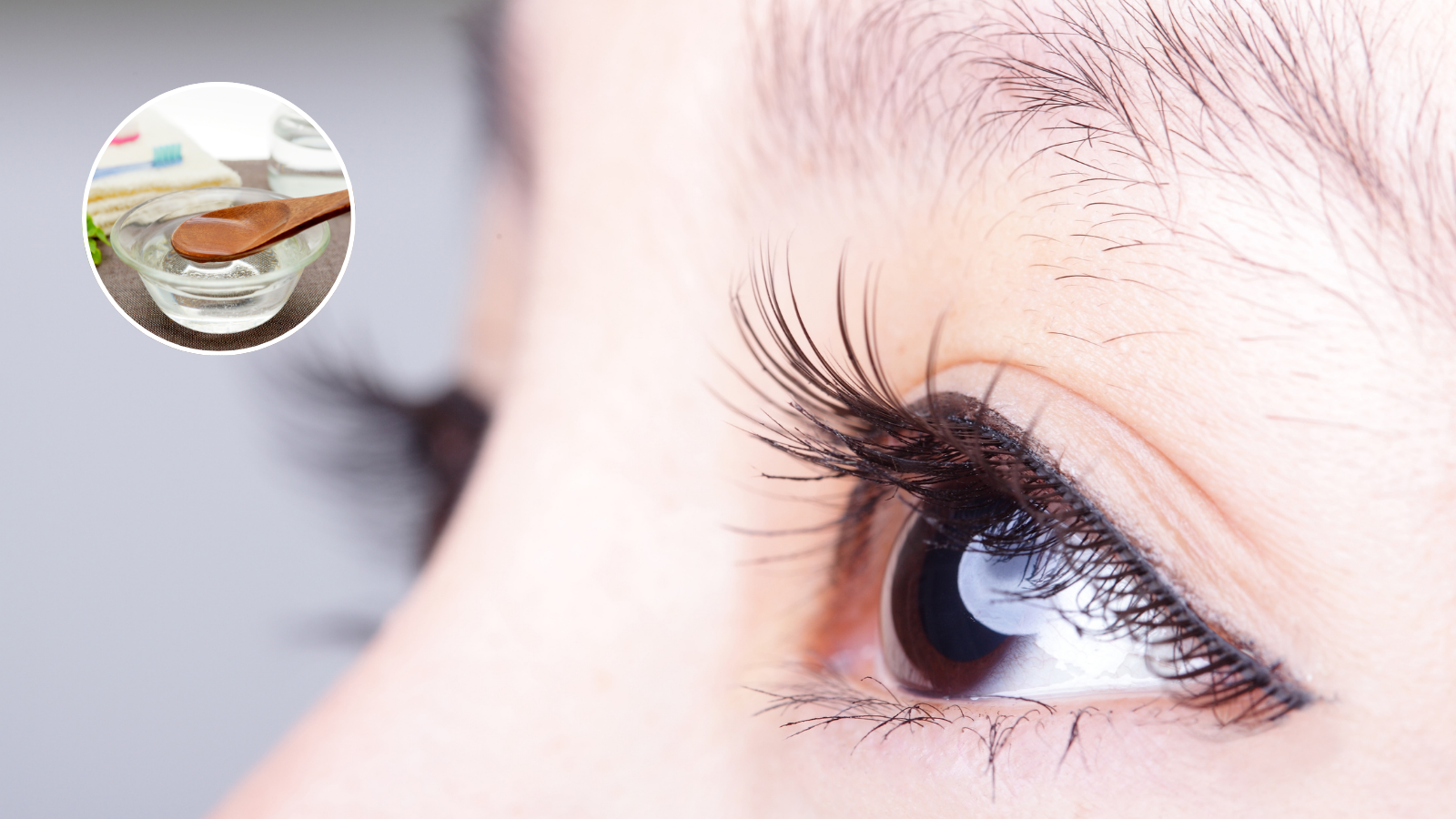 Can eyelashes grow? Ayurvedic Dr. Priyanka told the recipe of coconut oil, household items can be beneficial