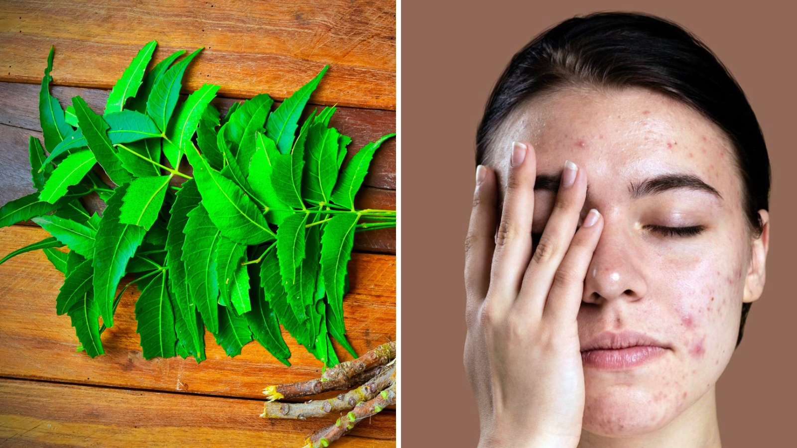Neem can make your face glow, use it for glowing and clear skin, content creator Rawat told the method.