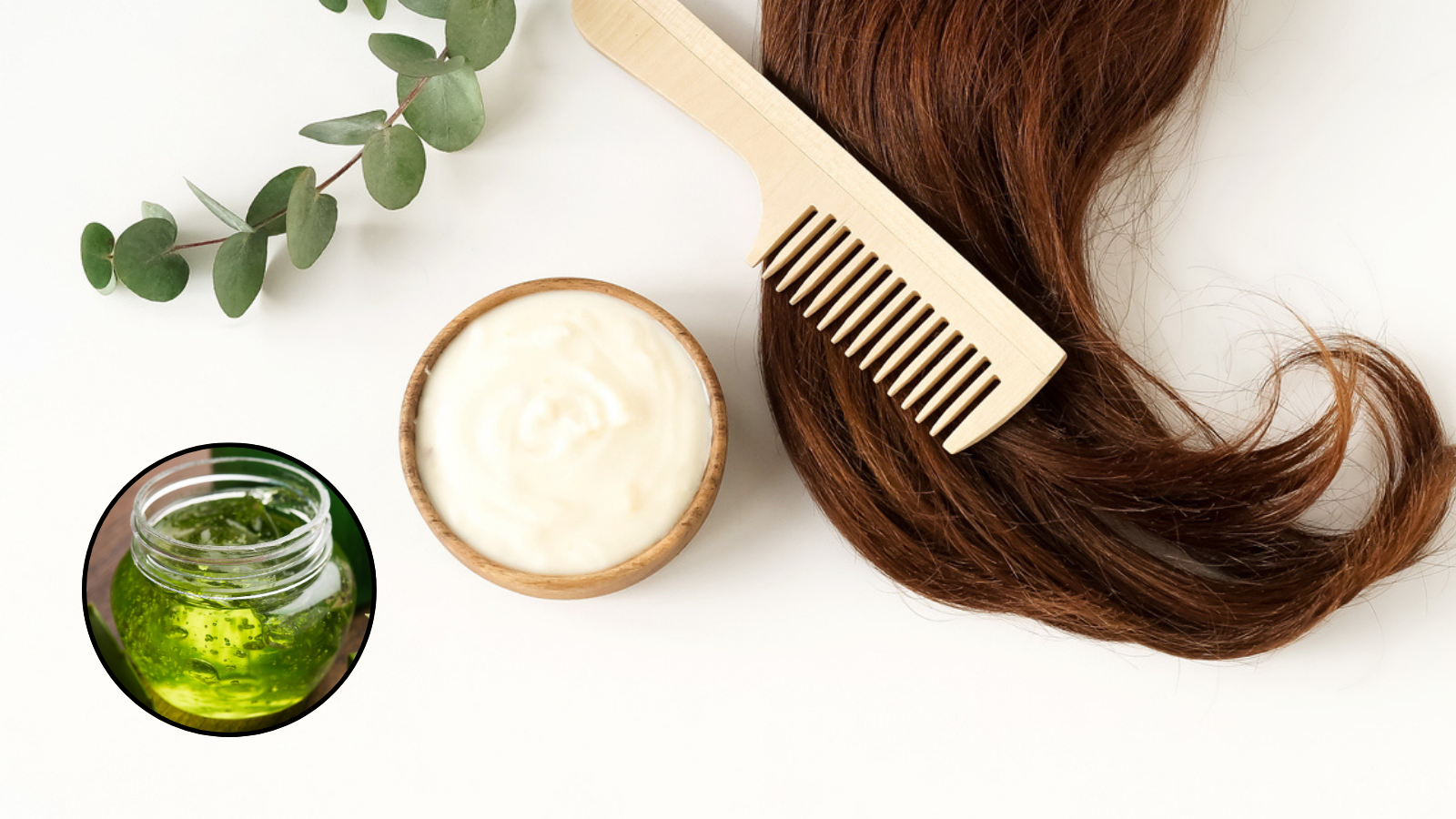 Can conditioner be made at home? Pakistani creator Maryam told the recipe of Aloe Vera, even dry hair can come to life.