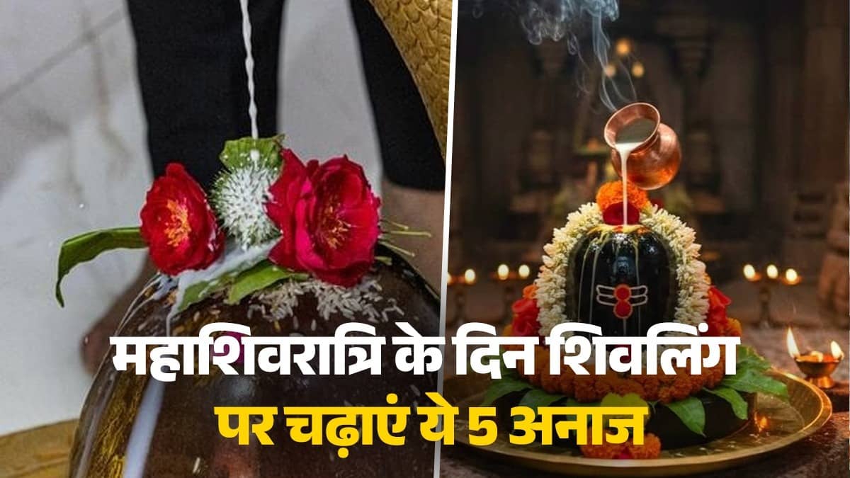 Mahashivratri 2026: On the day of Mahashivratri, offer these 5 grains to Shivling, you will get relief from financial crisis.
