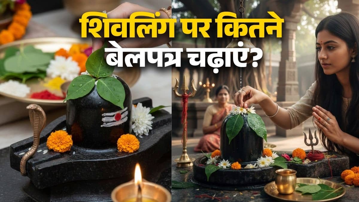 Mahashivratri 2026 Belpatra: How many Belpatra should be offered on Shivalinga on the day of Mahashivratri? Know the right way