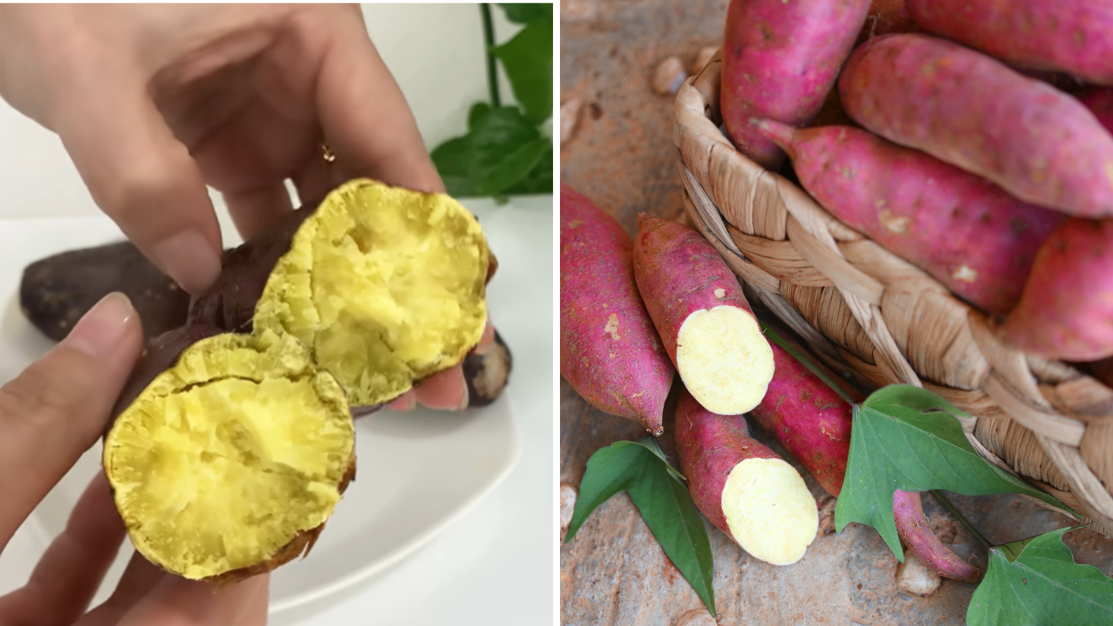 How to roast sweet potatoes to get aromatic flavor? In an easy way, there will be no need for tandoor and stove, salt and soda will come in handy.