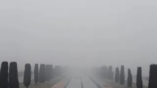 UP News: Weather Today: City engulfed in dense fog, Taj Mahal hidden; Shivering due to falling temperature