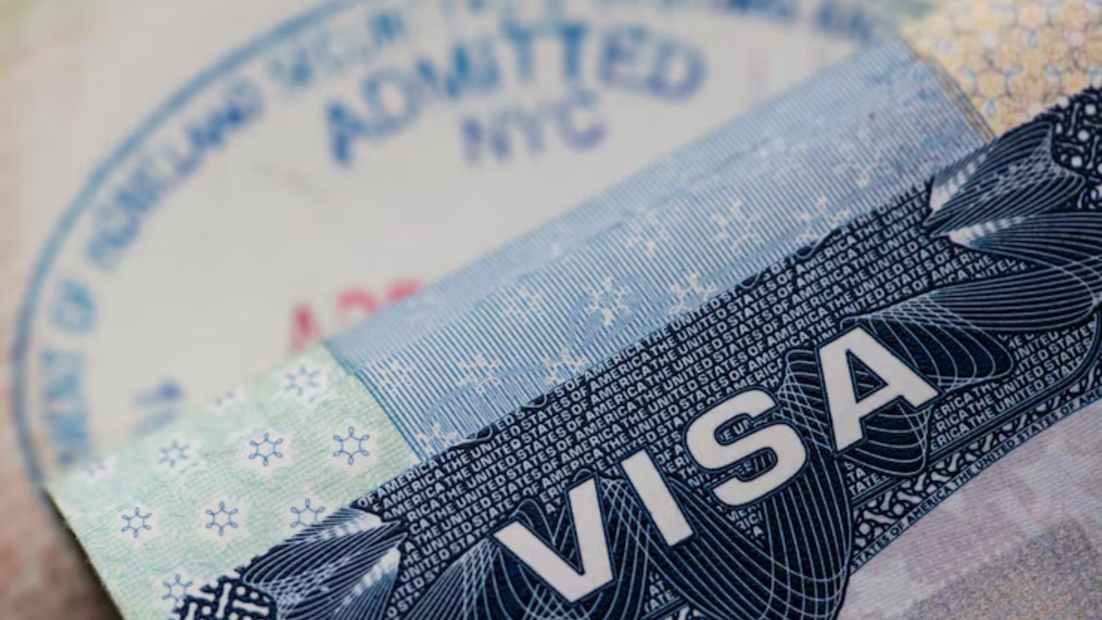 If companies are not providing H1B sponsorship for jobs in America, what should students do? Visa expert told