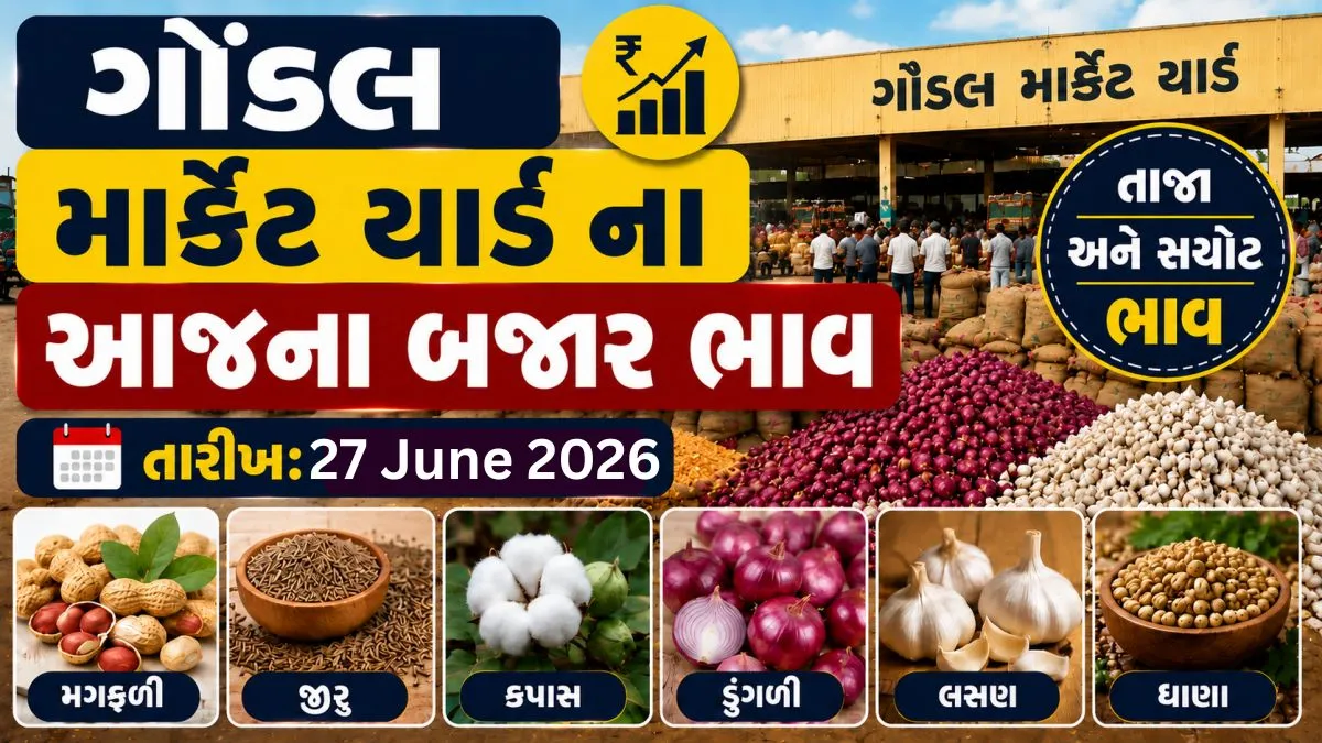 Gondal APMC Price: Today’s Market Prices of Gondal Marketing Yard: Check Cotton, Groundnut, Tomato and Pomegranate Prices