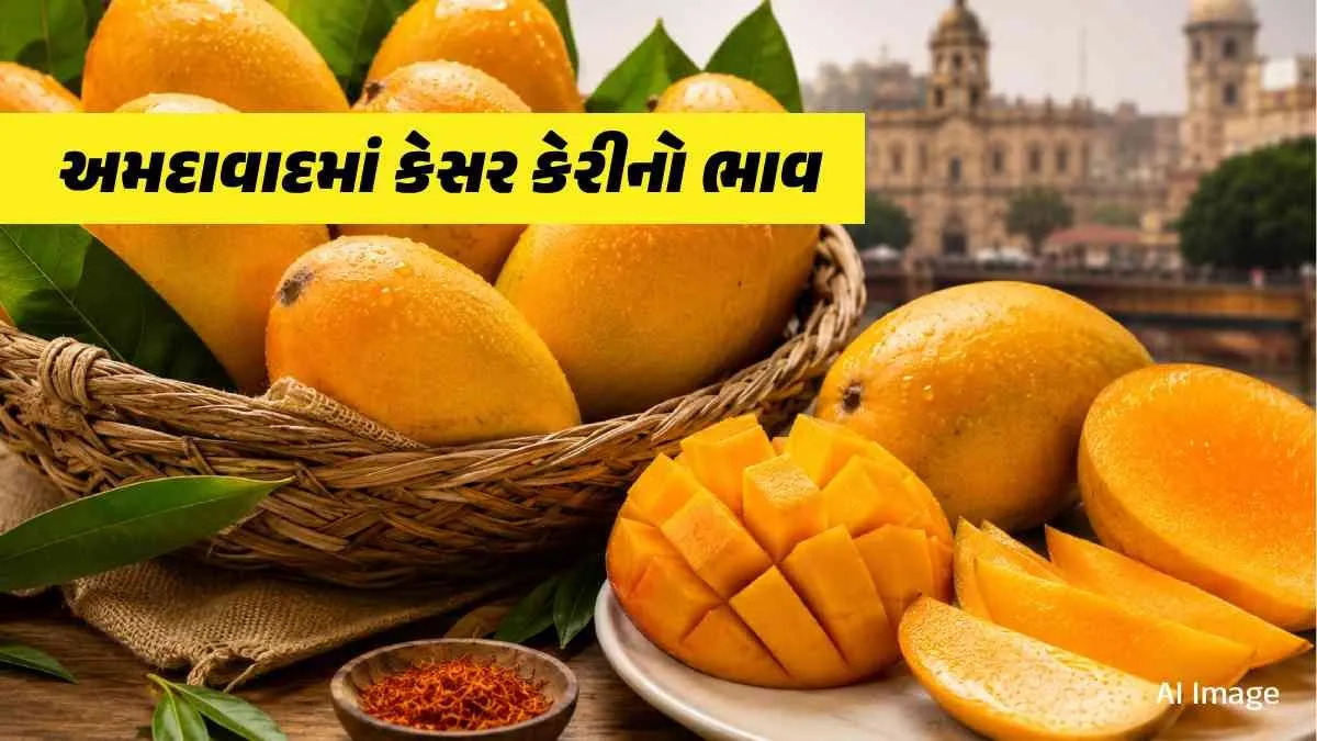 Kesar Mango Price in Ahmedabad | What is today’s saffron mango price in Ahmedabad on 21 June 2026? Check the latest rates of 1 kg and 10 kg boxes