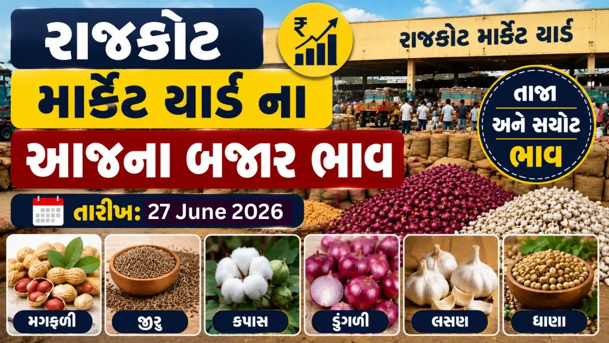 Rajkot APMC Price: Today’s Market Prices of Rajkot Marketyard: View Prices of Wheat, Cumin, Cucumber and Lemon