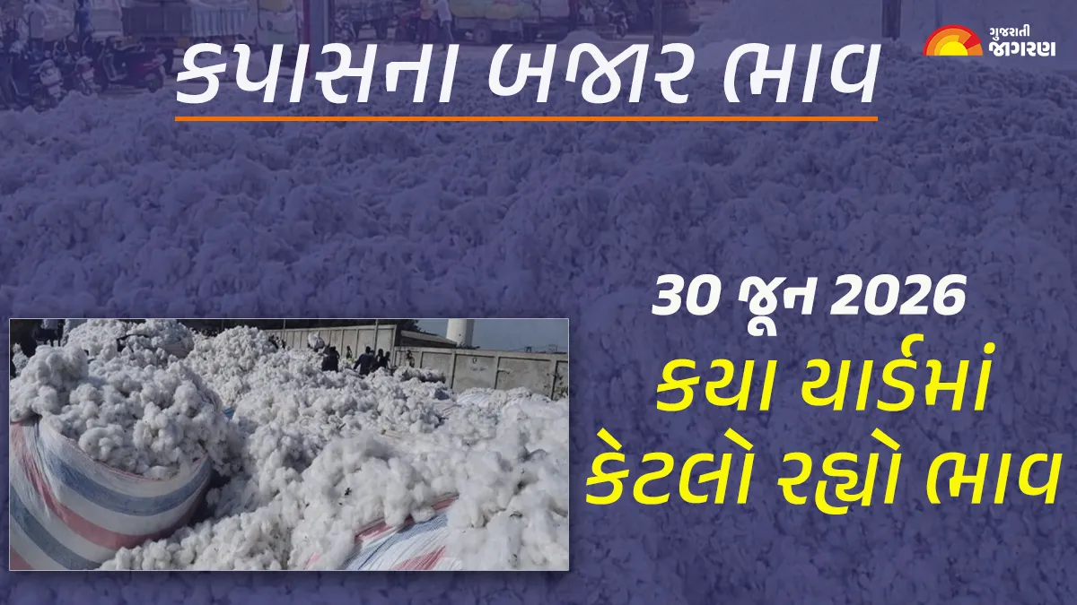 Cotton Price Today in Gujarat: Today’s market price of cotton in Gujarat, know what the high and low prices were in which yard?