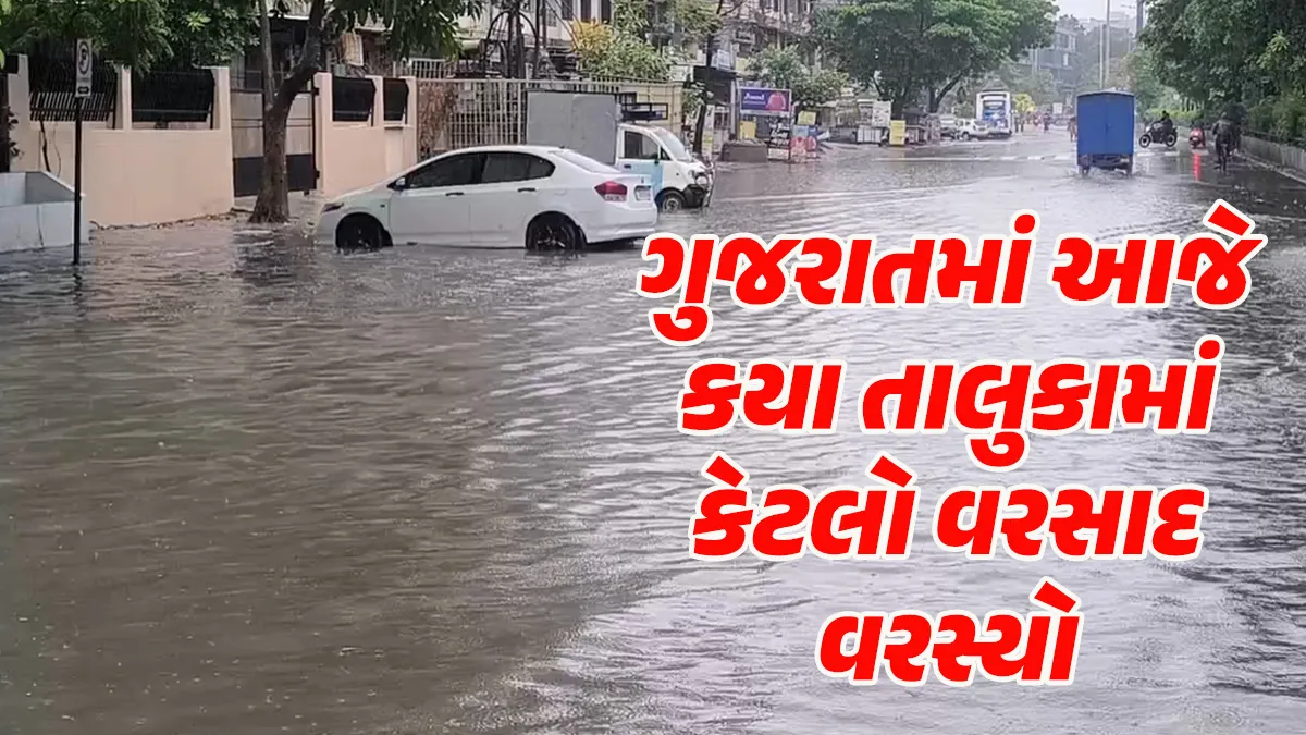 Gujarat Rain: As of 12 noon, rain in 36 taluks of Gujarat, more than 1 inch in 11 taluks, 2.4 inches in Kamraj.