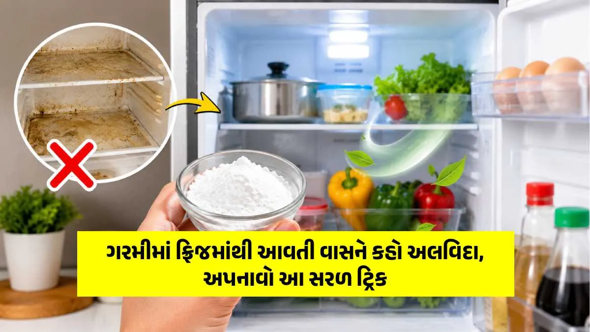 Say goodbye to the smell from the fridge in the heat, adopt these magical tips