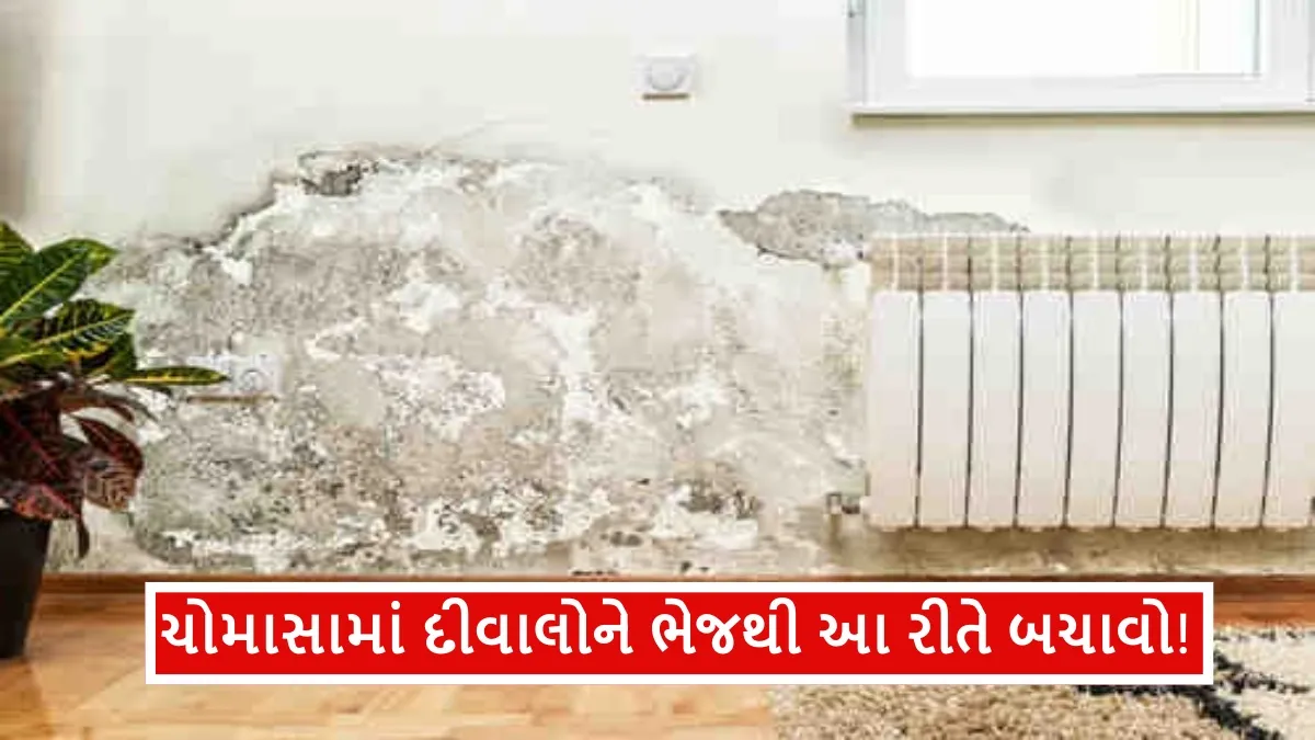 Do normal rains get damp on your balcony walls? Avoid moisture this way without incurring huge costs