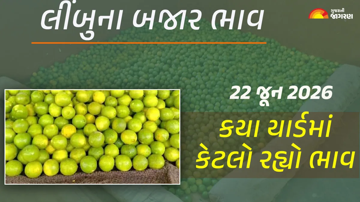Lemon Prices in Gujarat (22 June 2026): Today’s market price of 15 yards of lemon in Gujarat, know what the high and low prices were in which yard?