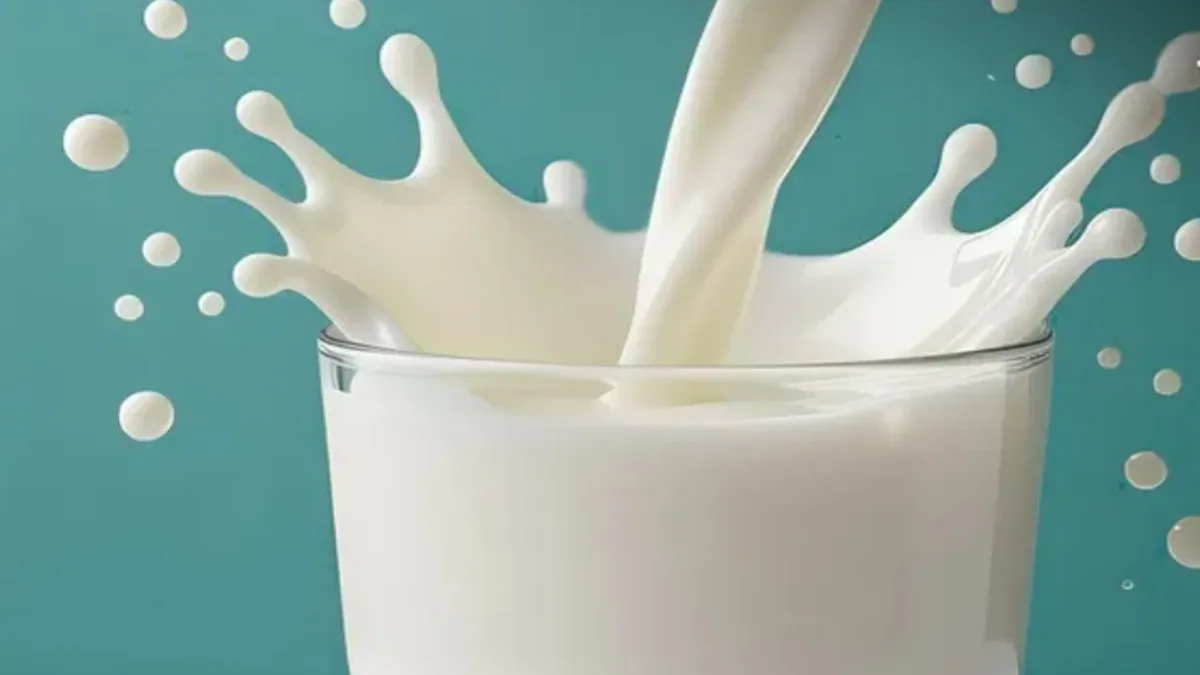 Milk Price Hike: Are milk prices going to increase again? El-Nino has increased the concern of the dairy industry and the public