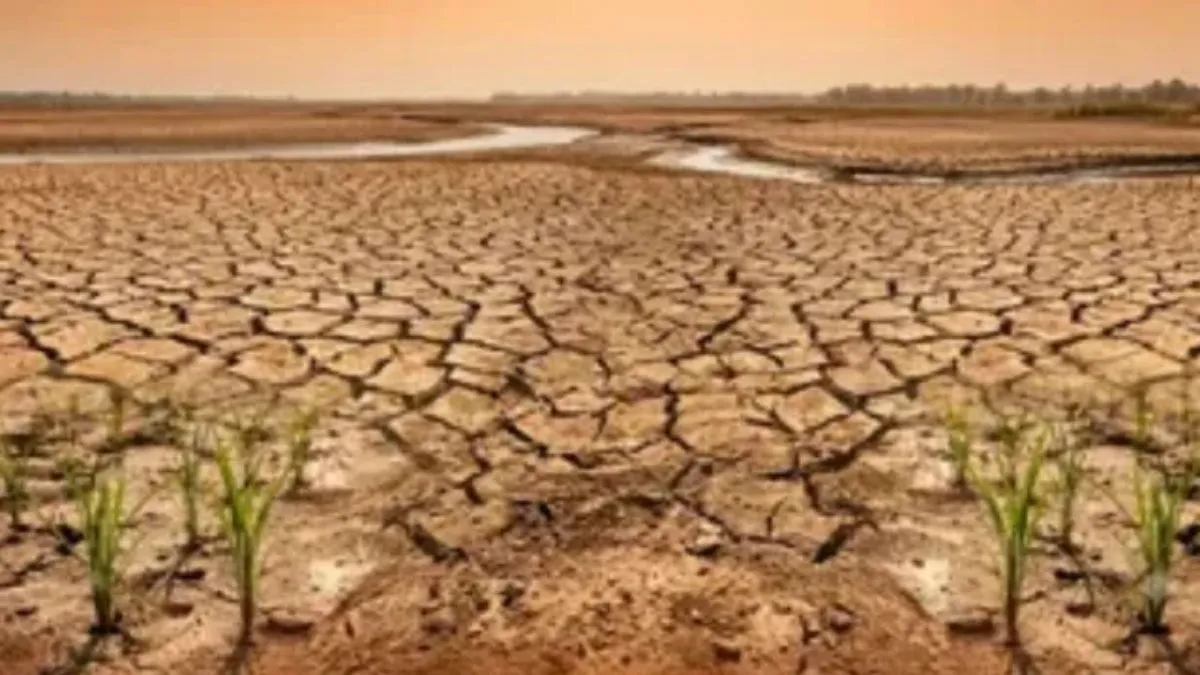 Monsoon decelerates for 14th time in 25 years; Chance of good rain despite El Nino