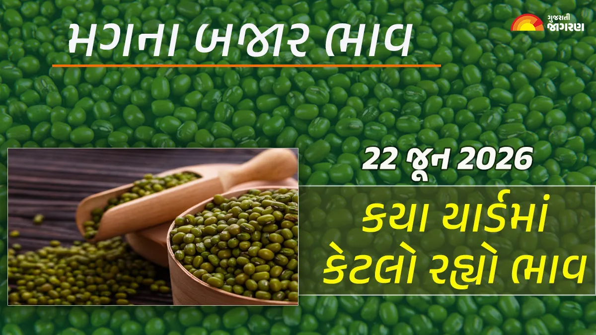 Green Gram Prices in Gujarat (22 June 2026): Today’s market price of 22 yards of mango in Gujarat, know what the high and low prices were in which yard?