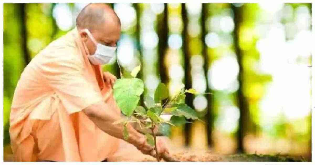 Plantation: यूपी में 12 जुलाई को लगेंगे 35 करोड़ पौधे, CM योगी करेंगे अभियान की शुरुआत