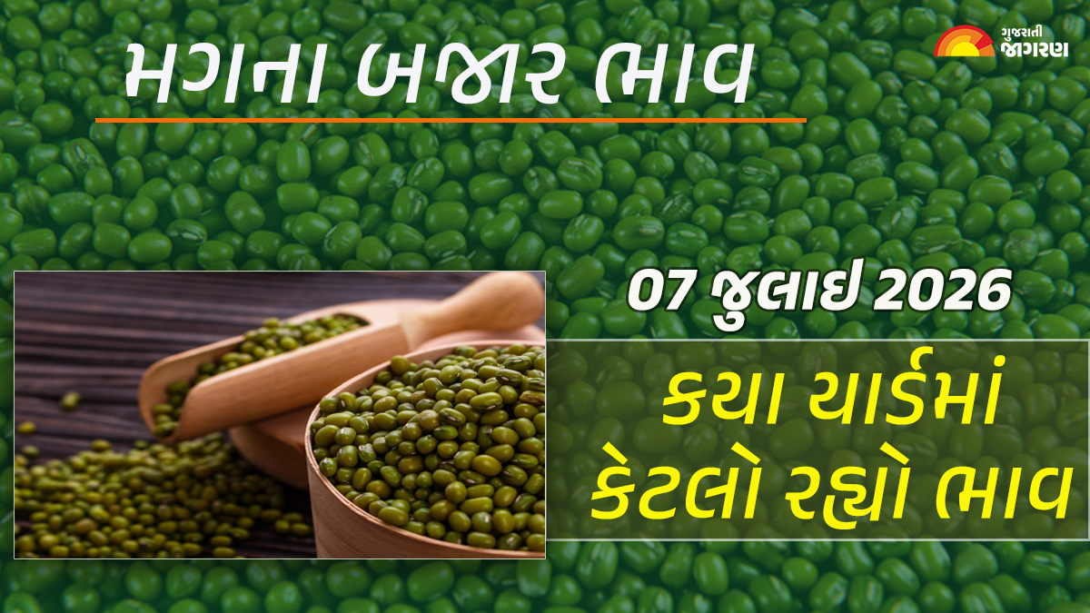 Green Gram Prices in Gujarat (07 July 2026): Today’s market price of 18 yards of mango in Gujarat, know what the high and low prices were in which yard?